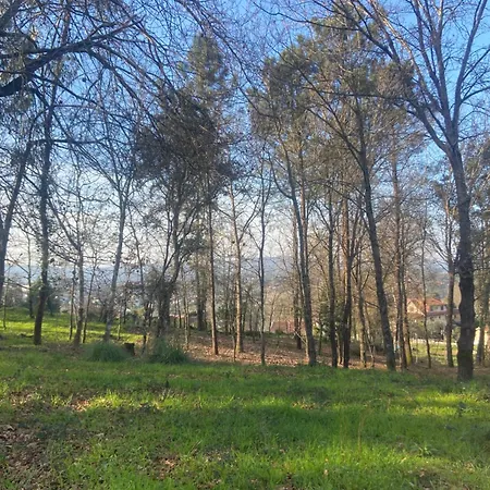 Quinta Do Senhor Μπράγκα