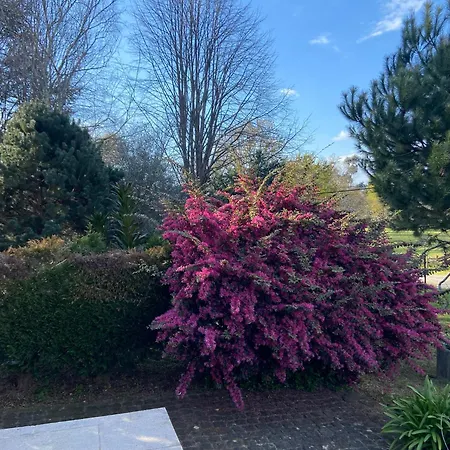 Casa de Férias Quinta Do Senhor Braga