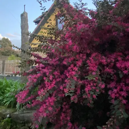 Casa de Férias Quinta Do Senhor