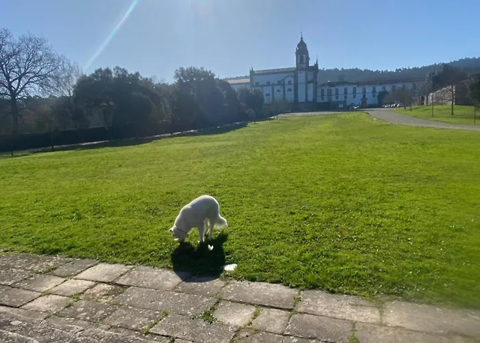 Dom wakacyjny Quinta Do Senhor Braga