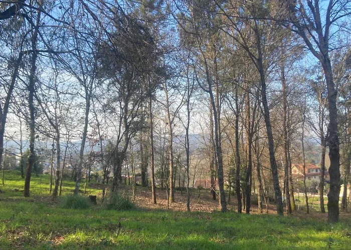 Quinta Do Senhor Braga