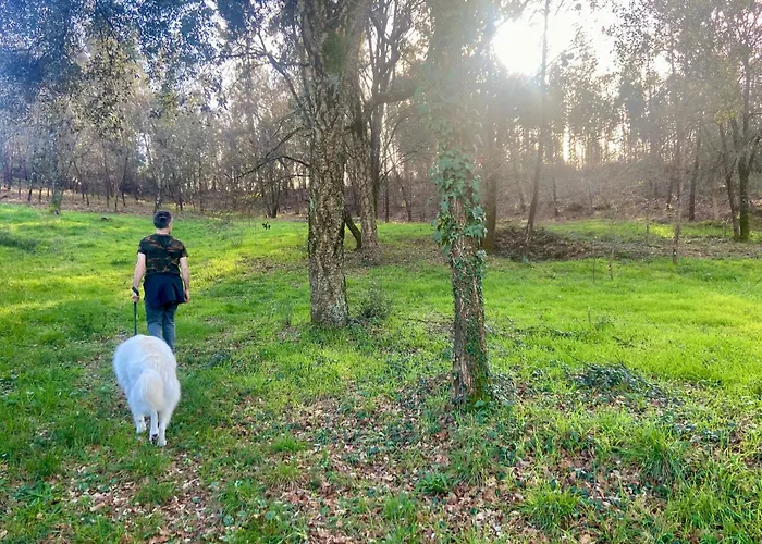 Quinta Do Senhor * Braga