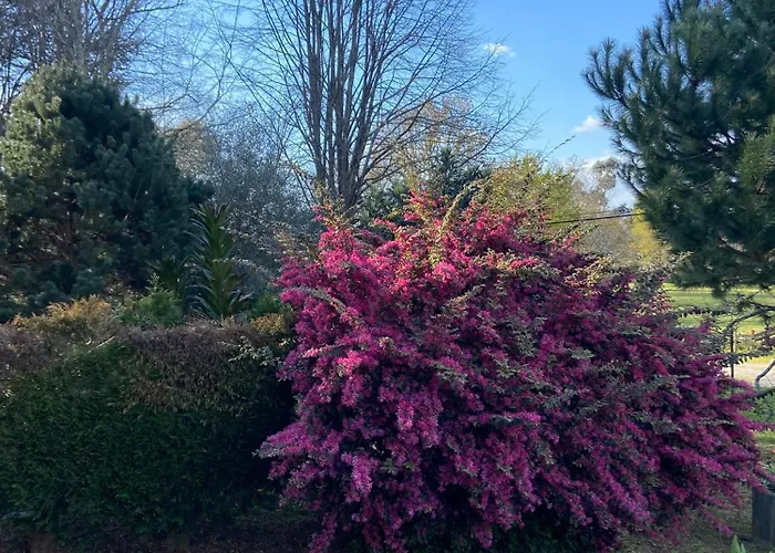 Dom wakacyjny Quinta Do Senhor Braga