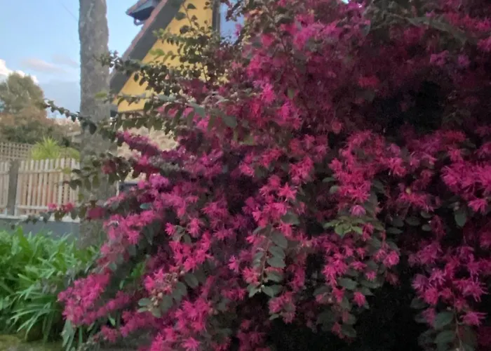 Dom wakacyjny Quinta Do Senhor