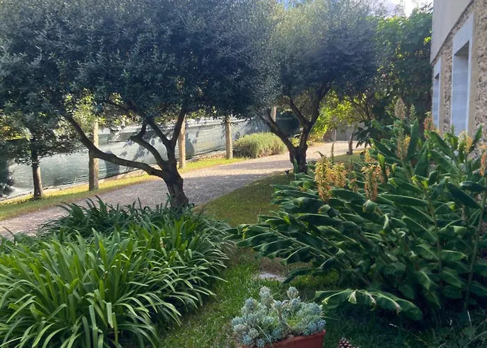 Quinta Do Senhor Dom wakacyjny *